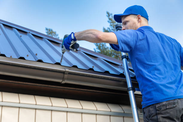 Best Roof Moss and Algae Removal  in Morton, MS